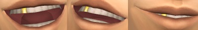 3035653.jpg