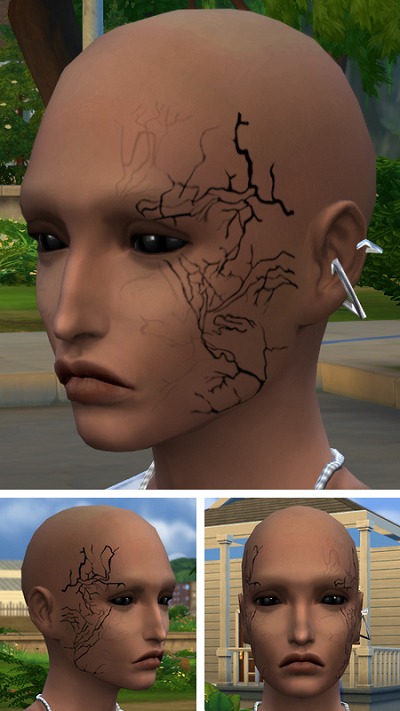 3039754.jpg