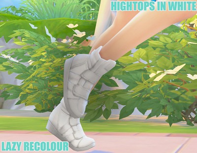 3041439.jpg