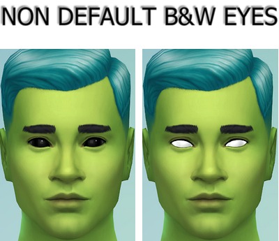 3049062.jpg