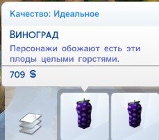 3052891.jpg