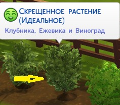 3052928.jpg