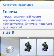 3052937.jpg