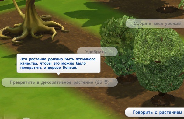 3054313.jpg