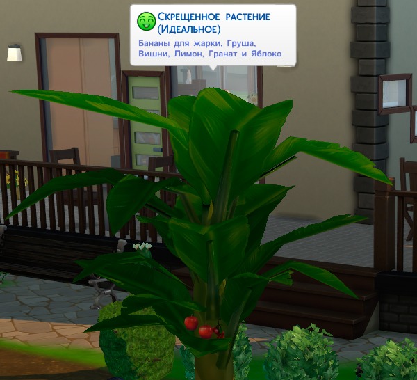 3060302.jpg