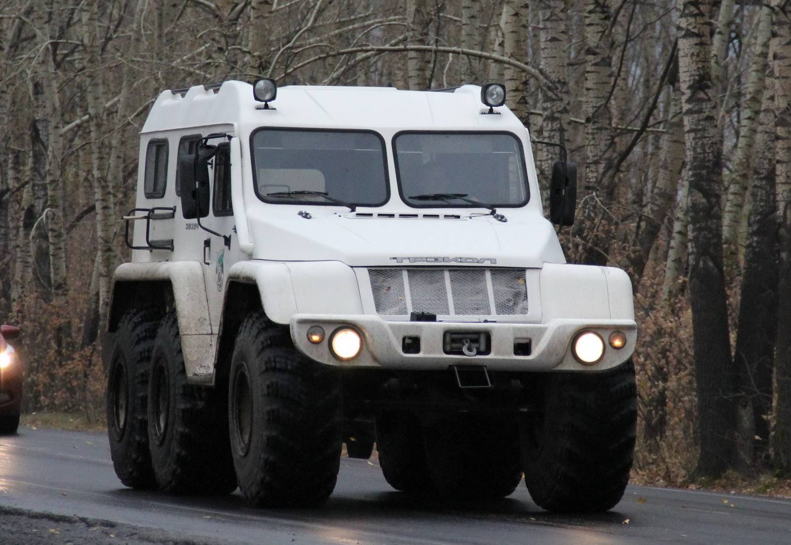 Трэкол 39294 габариты