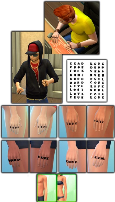 3069359.jpg