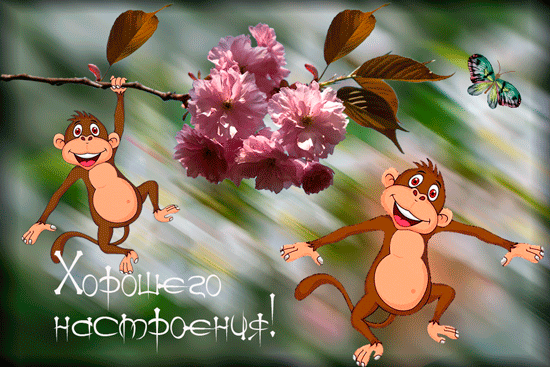 http://4put.ru/pictures/max/999/3070382.gif