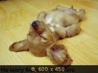 Не могу больше работать