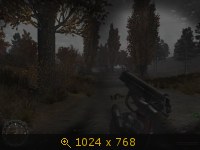 3086443.jpg