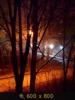 туман