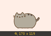 котик
