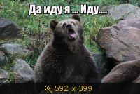 Показать изображение