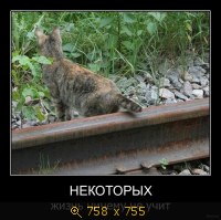 Показать изображение