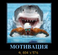 Показать изображение