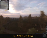 322895.jpg