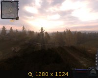 322896.jpg