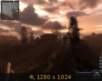 322899.jpg