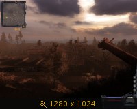 322901.jpg