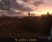 322904.jpg