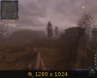 322906.jpg