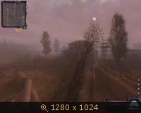 322907.jpg