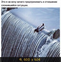 Показать изображение