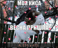 GIF анимация, GIF анимация, картинка 3378462.gif