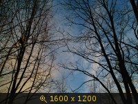 СПб (1) небо