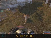 3392079.jpg