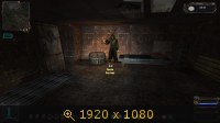 3398686.jpg