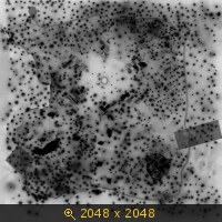 3448007.jpg