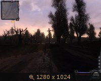 347942.jpg