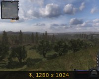 347945.jpg