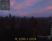 347953.jpg