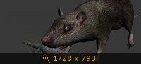 3473320.jpg