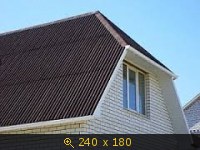 3481342.jpg