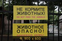 Показать изображение