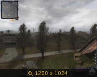 352620.jpg