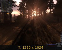 352632.jpg
