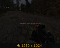 3508431.jpg