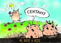 Показать изображение
