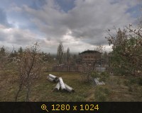 368514.jpg