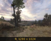 368524.jpg