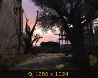 396831.jpg