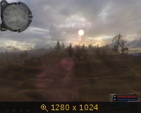 403245.jpg