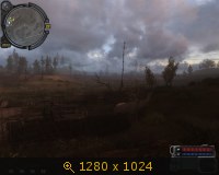 410131.jpg
