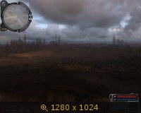 410135.jpg