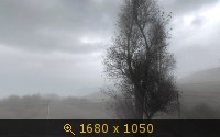 414265.jpg