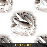 ф | бш | фауна | дельфины-2 6